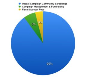 Financial graph of Sponsors and Fundraising