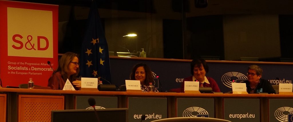 Chelo on panel European Parliament